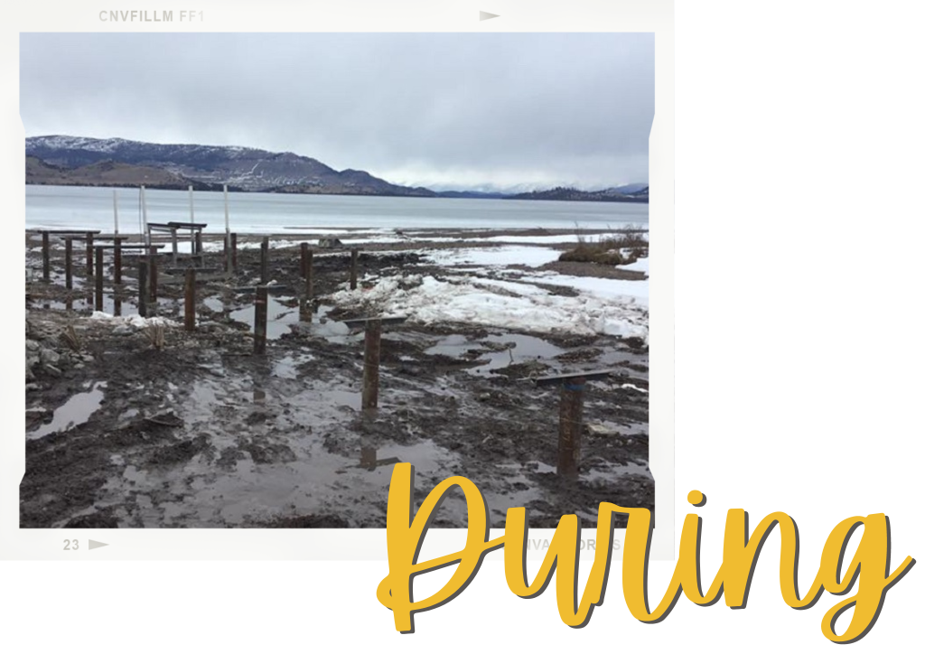 during image showing a dock being repaired